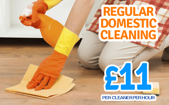 Regular Domestic Cleaning Services